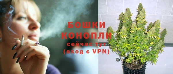 прущая мука Болотное